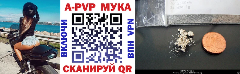 где найти   Чадан  ссылка на мегу ссылки  A PVP СК 