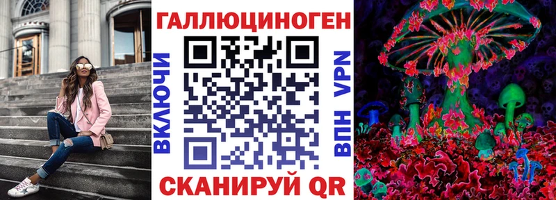 Псилоцибиновые грибы Psilocybe  kraken рабочий сайт  Чадан  закладка 