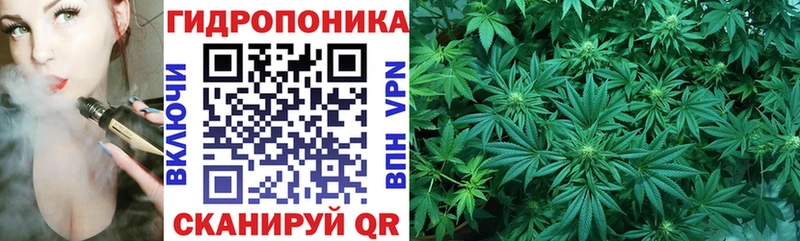 наркошоп Чадан Шишки марихуана сатива